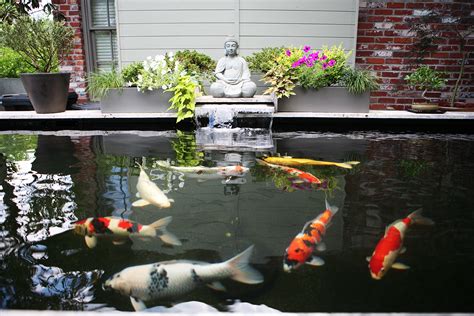 庭院魚池鱼池设计 人型九宮格